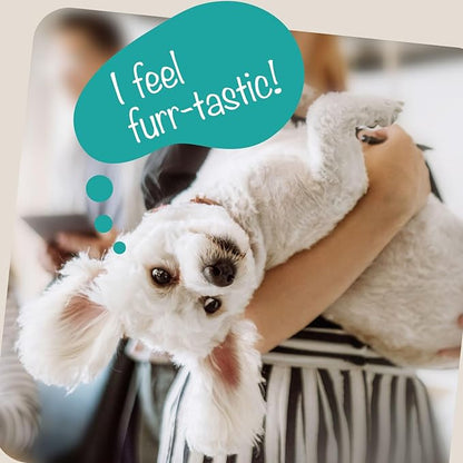 Seasonal Allergy & Immune Support for Dogs, 50 Tasty Oyster Soft Dog Chew Treats; Vet-Formulated Pet Dog Supplies that Promote Dog Allergy Relief & Itch Relief for Dogs
