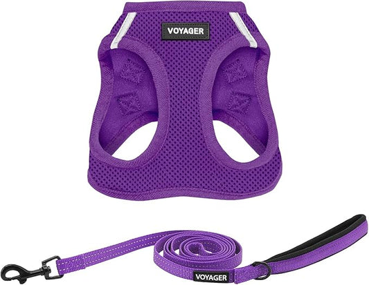 Best Pet Supplies Voyager Step-in Air All Weather Mesh Harness and Reflective Dog 5ft Leash Combo with Neoprene Handle, for Small, Medium and Large Breed Puppies - Set (Purple), Large