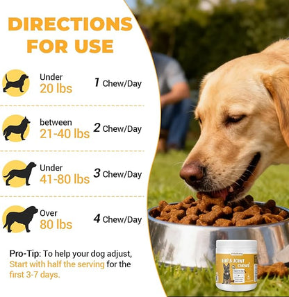 360 Chews Glucosamine Chondroitin Joint Chews for Dogs, Chicken Flavor 13 in 1 with Glucosamine, Chondroitin, MSM, Omega-3 Support Hip & Joint Support - Joint Pain Relief Flavored Fit All Breed