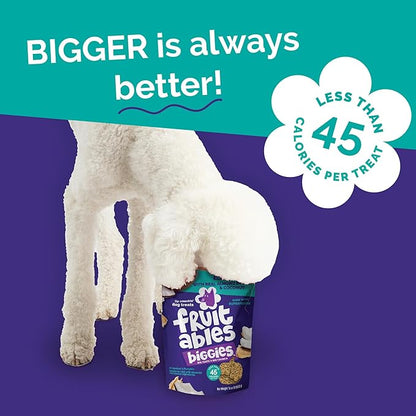 Fruitables Biggies Dog Biscuits, Pumpkin Treats for Dogs, Healthy Doggie Biscuits, Crunchy Treats, No Wheat, Corn or Soy, Made in The USA, Almond Butter and Coconut Flavor, 16oz