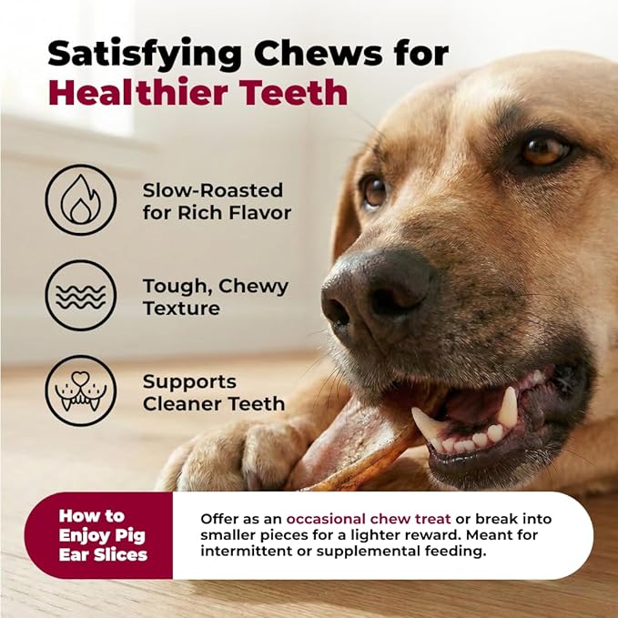 Best Pet Supplies GigaBite Roasted Pig Ears for Dogs - Natural Dog Chews, Roasted Pigs Ears, Safe for Puppies and Aggressive Chewers, Cleans Teeth and Gums - Slivers, 1.8 Pounds