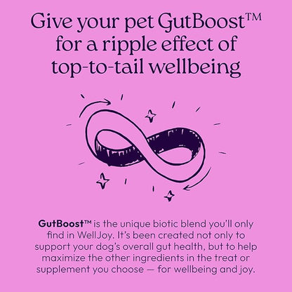 New! WellJoy Dog Supplement Calming+ GutBoost | Dog Health Supplement | Promotes Relaxation & Calmness | Dual-Benefit GutBoost Formulation | Vet Formulated | USA Made | Chicken Flavor | 90 Soft Chews