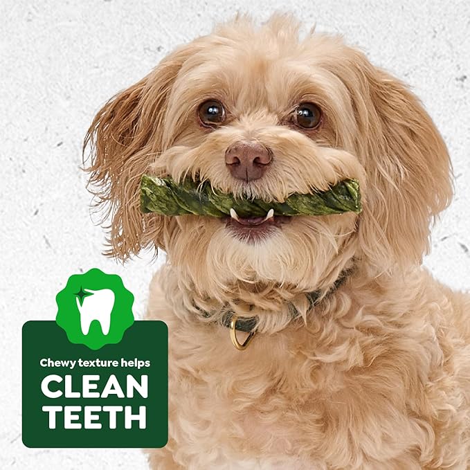 Greenies Occupy Twists Natural Dog Treats Regular Size Dog Chews Long Lasting Chicken Flavor, 8.65 oz. Pack, 6 Count