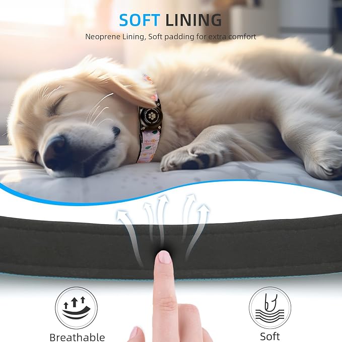 Upgrade Dog Collar with AirTag Holder, IP68 Waterproof, Lavender Garden, XL | Built-in Water Resistant AirTag holder, 1000D Nylon, Reflective Stitching for Night Visibility, Soft padding for Comfort
