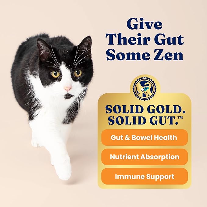 Solid Gold Sensitive Stomach Dry Cat Food - Grain Free Gluten Free Sensitive Stomach Cat Food for Indoor Adult/Senior Cats - Dry Kibble for Cats w/Quail - Probiotics for Gut Health - 6lb