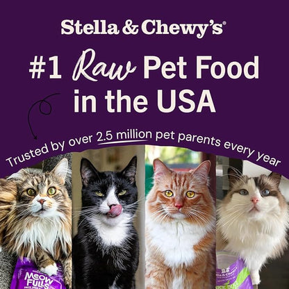 Stella & Chewy's Freeze-Dried Raw Cat Dinner Morsels - Premium Turkey Recipe with 98% Farm-Raised Meat & Organs - Natural Grain-Free Cat & Kitten Food - Made in USA - 3.5 oz