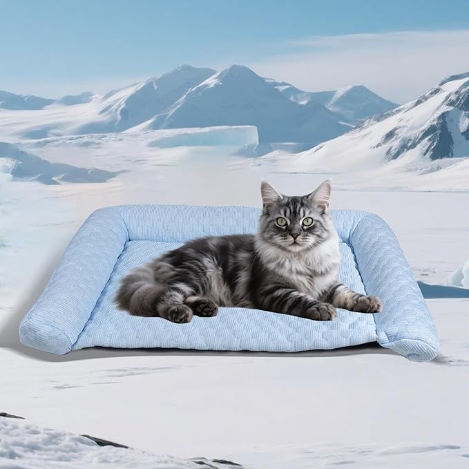 Cooling Mat - Thicken Portable & Foldable Mat for Small Cats/Kitten, Non-Slip & Machine Washable, Ideal for Carriers, Beds & Indoor Comfort (Blue, S 19.6''*11.8'')