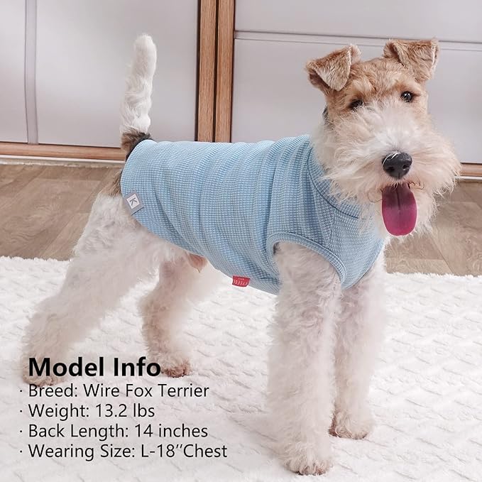 KYEESE 2Pack Waffle Dog Shirts, Lightweight Sleeveless Dog T Shirts for Small Dogs Boy, Breathable Puppy Vest Comfort Tank Top Soft Dogs Clothes for Daily Wear, Blue+Grey, S