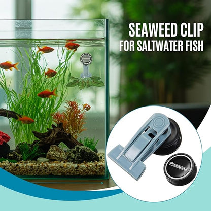 Blulu 1 Pcs Magnetic Seaweed Feeding Clips Saltwater Aquarium Tank Accessories Algae Magnet Seaweed Feeder for Fish and Aquatic Pets, Automatic Fish Feeder