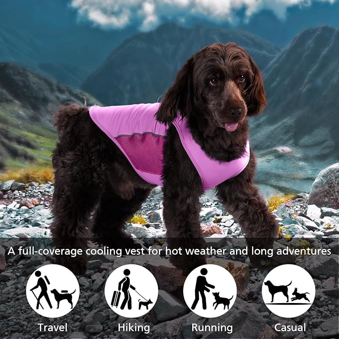 UPF 50+ Sun Protection Dog T-Shirt, 2 Pack Lightweight Sleeveless Dog Vest for Small Dogs Girl – Reflective Strips, Quick-Dry Pet Apparel, Sports Fan Shirt P23ST00504S