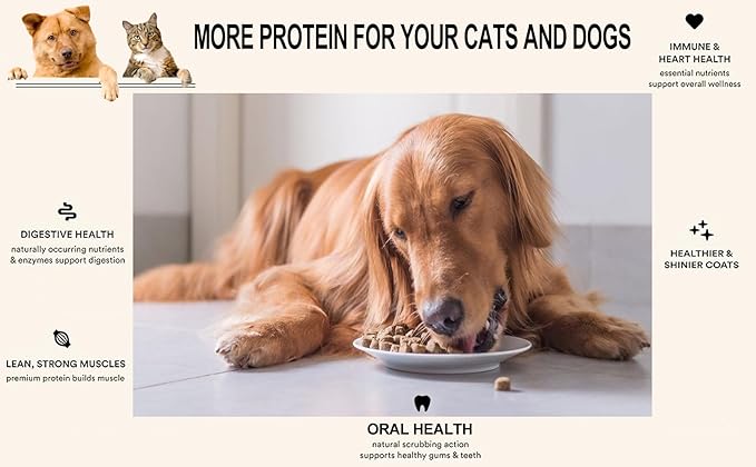 Freeze-Dried Duck & Beef Liver Balanced Mixers - Dog & Cat Treats Food Topper - Perfect for Picky Eaters - Grain-Free, Protein Rich Recipe (2.0 oz, Beef Liver & Duck Liver Mix)