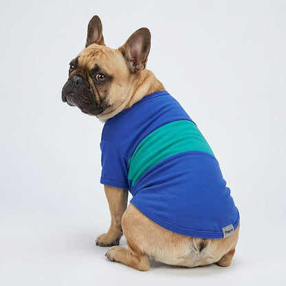 Fitwarm 3 Pack Color Block Striped Dog Shirt, Summer Dog Clothes for Small Dogs, Breathable Lightweight Pet Tshirt with Sleeves, Cat Outfit, Royal Blue, Gray, Teal, XXL