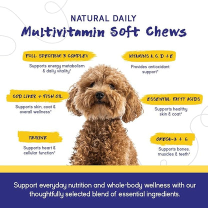 PupGrade Daily Multivitamin for Dogs – All-in-One Supplement with Omega Fish Oil, Vitamins A, C, D, E & B Complex for Everyday Health – 30 Soft Chews