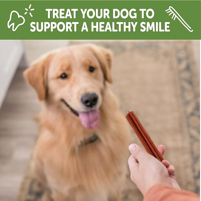 Wellness WHIMZEES Stix Dog Dental Treat, Chews, Freshens Breath, Extra-Small Size, 14.81 oz Bag, 56 Count