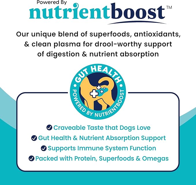 Solid Gold Beef Tripe Wet Dog Food Mix in for Adult & Senior Dogs - Helps Boost Appetite for Picky Eaters & Sensitive Stomachs - Canned Dog Food Additive for Healthy Digestion - Single 13.2oz Can