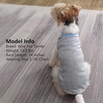KYEESE 2Pack Waffle Dog Shirts, Lightweight Sleeveless Dog T Shirts for Small Medium Dogs Boy, Breathable Pet Vest Comfort Tank Top Soft Dogs Clothes for Daily Wear, Blue+Grey, XL