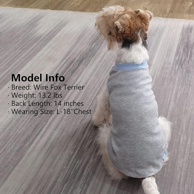 KYEESE 2Pack Waffle Dog Shirts, Lightweight Sleeveless Dog T Shirts for Small Dogs Boy, Breathable Puppy Vest Comfort Tank Top Soft Dogs Clothes for Daily Wear, Blue+Grey, S