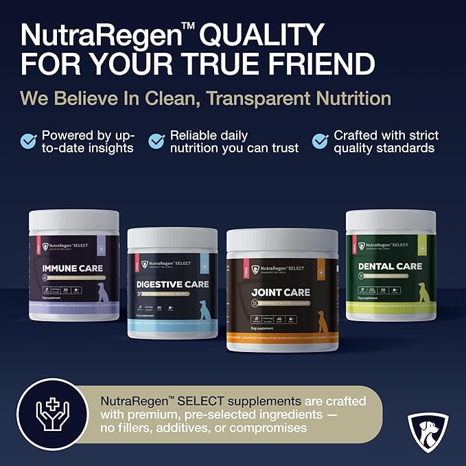 Nutraregen Digestive Senior Dog Probiotic Powder 30 Scoops | Beef Flavored Dog Probiotics for Digestive Health, Supports Gut Health, Scratching, Itchy & Dry Skin, Allergies 2.1 Oz | 7 Bn CFU