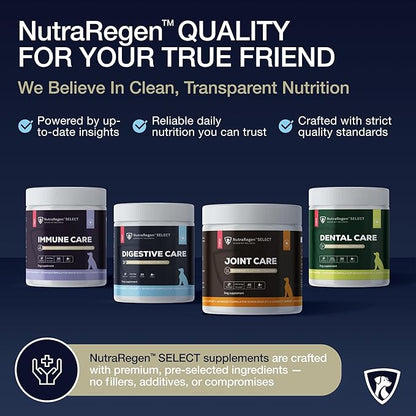 Nutraregen Digestive Senior Dog Probiotic Powder 30 Scoops | Beef Flavored Dog Probiotics for Digestive Health, Supports Gut Health, Scratching, Itchy & Dry Skin, Allergies 2.1 Oz | 7 Bn CFU