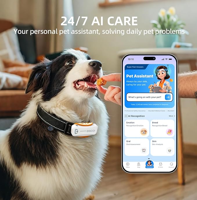 GPS Dog Tracker, 12-Mo Sub, Real-Time Loc, E-Fence, Health Monitor