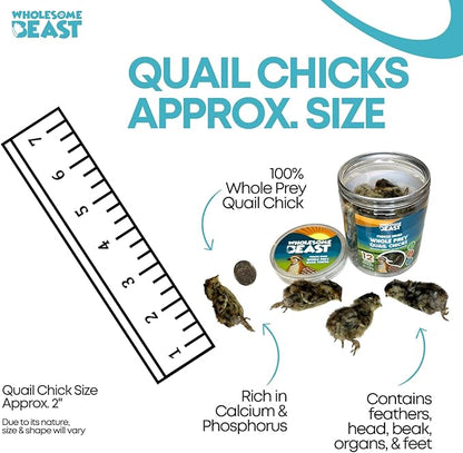 Freeze Dried Whole Prey Quail Chicks for Cats, Dogs, & Ferrets- Whole Feathered Quail Treats for Dogs- Single Ingredient- 12 Count