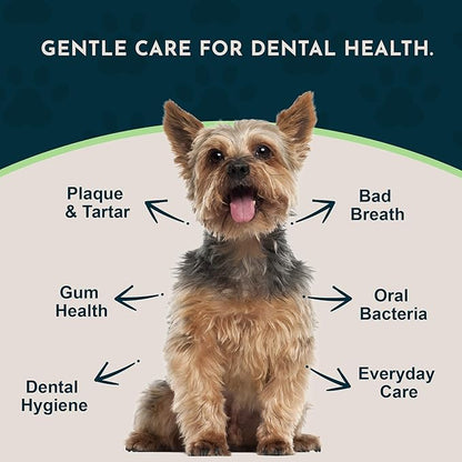 Animal Essentials Sea-Dent for Dog Teeth - Dental Powder for Dogs & Cats Teeth & Gums, Natural Oral Formula for Plaque & Tartar, Bad Breath Oral Freshener & Cleaner - 2.5 oz