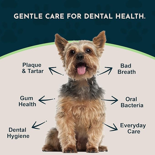 Animal Essentials Sea-Dent for Dog Teeth - Dental Powder for Dogs & Cats Teeth & Gums, Natural Oral Formula for Plaque & Tartar, Bad Breath Oral Freshener & Cleaner - 2.5 oz