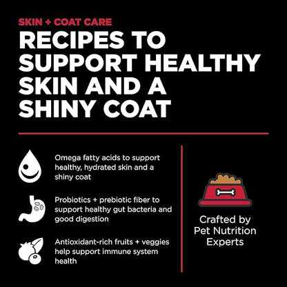 Go! Solutions Skin + Coat Care Lamb Dry Dog Food with Grains, Chicken-Free, Healthy Kibble with Omega-3s & 6s for Soft, Shiny Fur, for Puppies, Adults, & Seniors, 22 lb Bag