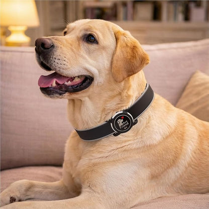 Waterproof AirTag Holder for Dog Collar, Soft Slide-On Dog AirTag Holder | Full-Body Protection, No-Dangle Fit, Ultra-Durable, Lightweight, Tool-Free Installation, Fits Dog & Cat Collars