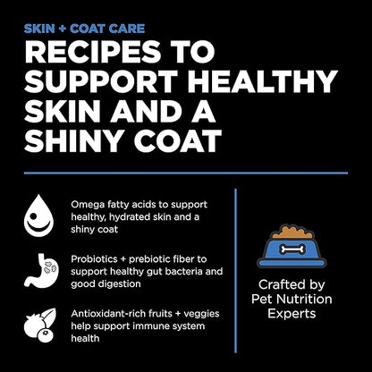 Go! Solutions Skin + Coat Care Chicken Dry Dog Food with Grains, Healthy Kibble with Omega-3s & 6s for Soft, Shiny Fur, for Puppies, Adults, & Seniors, 22 lb Bag