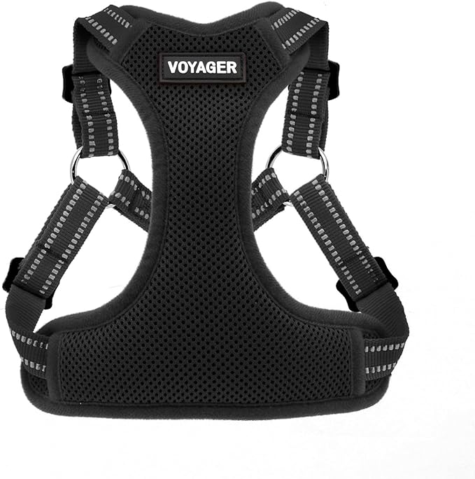 Best Pet Supplies Voyager Adjustable Step-in Flex Breathable Mesh Dog Harness for Small Medium Large Dogs (Black), S