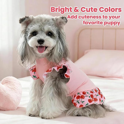 XPUDAC 4 Pack Cute Dog Dress for Small Dog, Floral Pet Clothes Sweet Girl Puppy Dress Colorful for Birthday Holiday Spring Summer Pet Outfits Skirt for Girls, L