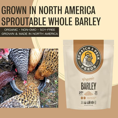 Scratch and Peck Whole Barley Chicken, Duck and Livestock Supplemental Grain - 10 lbs Bag - 8.5% Protein, Certified Organic and Non-GMO Project Verified Chicken Food