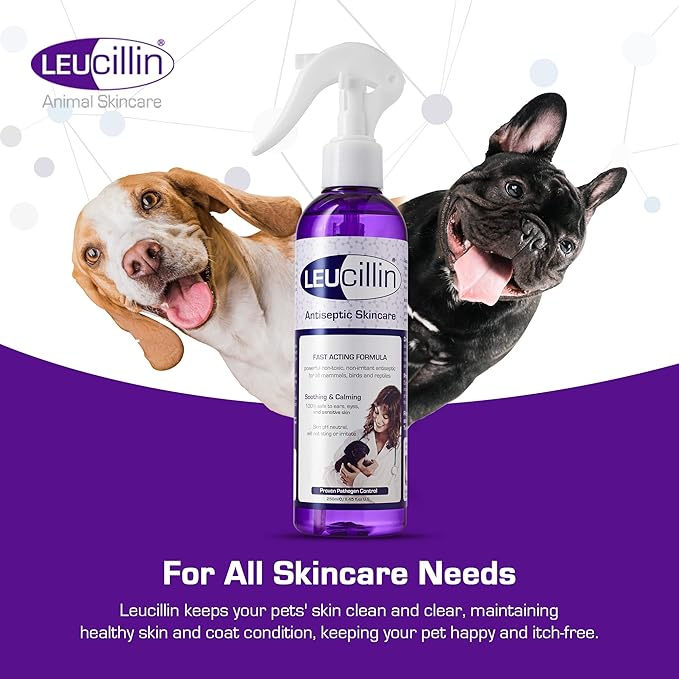 Leucillin Natural Antiseptic Dropper for Dogs, Soothes Itchy Skin and Promotes Healing, Effective Treatment for Dogs, Wound and Skin Care Solution for Pets, First Aid Kit Essential - 50ml
