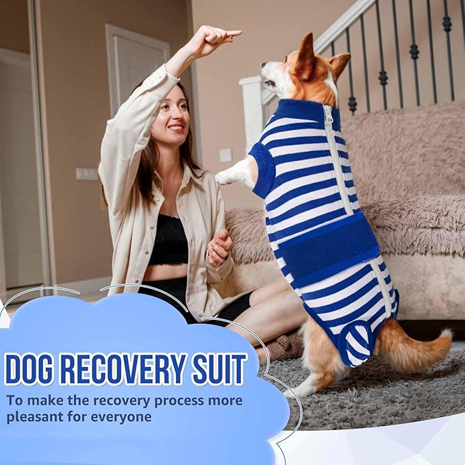 Lukovee Recovery Suit for Dogs, Zipper On Recovery Suit for Female Male Dog, Onesie Abdominal Wounds Cone E-Collar Alternative Prevent Licking Spay Recovery Suit (M, BL)