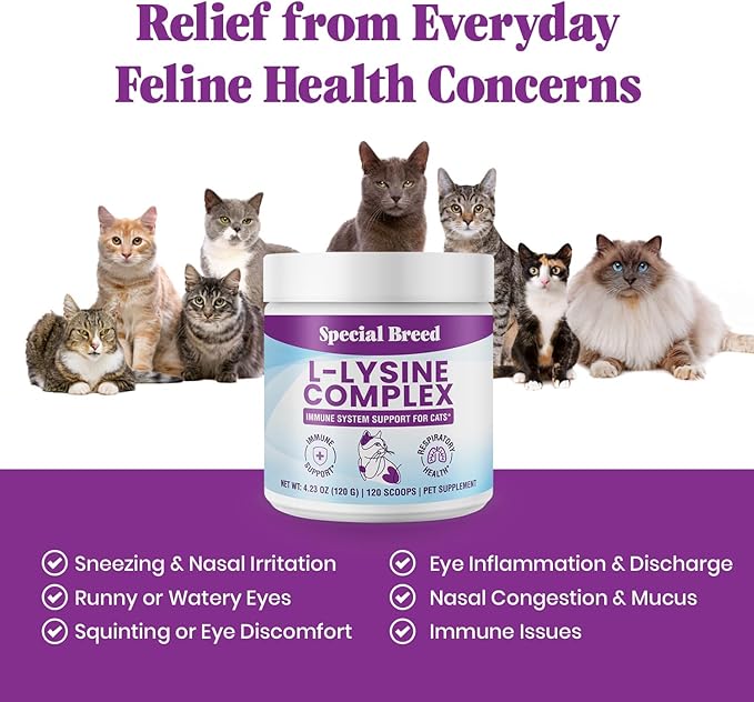 Special Breed L-Lysine for Cats and Kittens – Immune, Respiratory and Eye Support – Cat Sneezing and Runny Nose Relief – Lysine Powder with Prebiotics, Krill, Bone Broth and DMG – 120 Servings