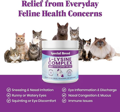 Special Breed L-Lysine for Cats and Kittens – Immune, Respiratory and Eye Support – Cat Sneezing and Runny Nose Relief – Lysine Powder with Prebiotics, Krill, Bone Broth and DMG – 120 Servings