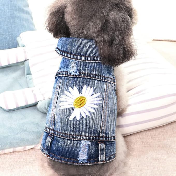 Pawstrip Dog Denim Jacket with Embroidered Daisy, Ripped Vintage Jean Vest for Small Dogs, Pugs, Chihuahuas, Spring Summer Fall Festival Outfit, Large (Fits Chest 15-16")