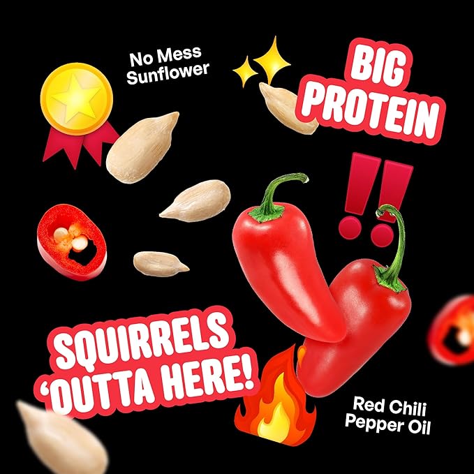 Cool Birds Hearts on Fire Hot Bird Seed – 10 lb. 100% Hulled Sunflower Hearts with Chili Pepper Oil – No Waste Bird Seed for Outside Feeders