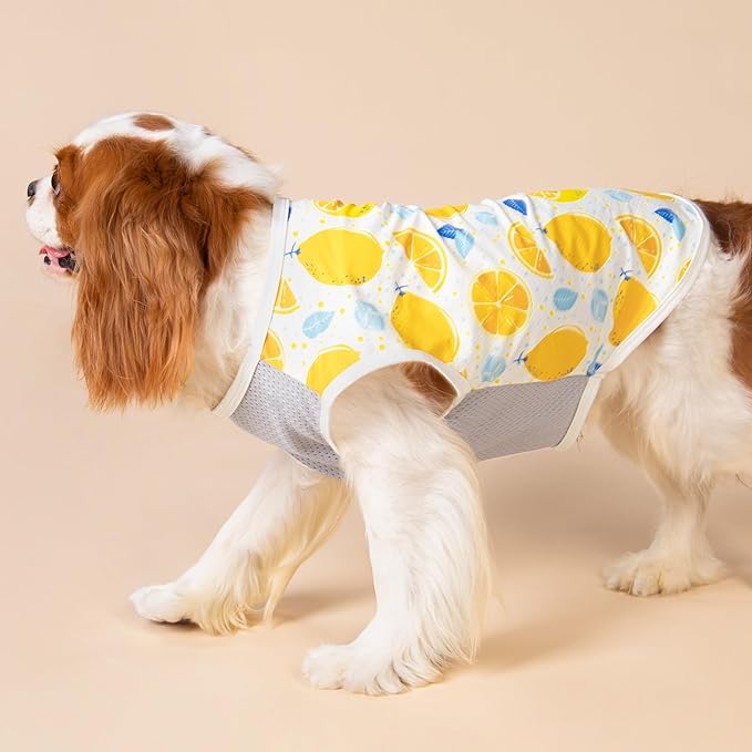 Fitwarm 2 Pack Ice Lemon UPF 50+ UV Sun Protection Dog Shirt, Lightweight Dog Cooling Vest, Quick Dry Summer Clothes for Small Dogs Boy Girl, Pet Outfit, Blue, Yellow, White, XS