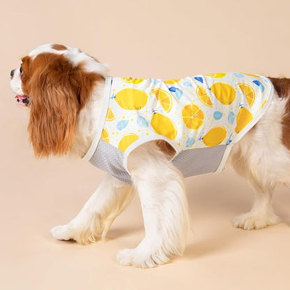 Fitwarm 2 Pack Ice Lemon UPF 50+ UV Sun Protection Dog Shirt, Lightweight Dog Cooling Vest, Quick Dry Summer Clothes for Small Dogs Boy Girl, Pet Outfit, Blue, Yellow, White, XS