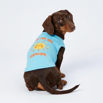 Fitwarm You are My Sunshine Dog Shirt, Tropical Summer Clothes for Small Dogs Boy Girl, Funny Pet Outfit, Blue, Yellow, XXL