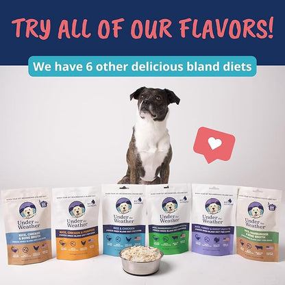 Under the Weather Bland Diet for Dogs | Easy to Digest Stomach Support for Sick Dogs | Contains Electrolytes, All Natural | 6 Pack - Turkey, Oatmeal, Sweet Potato & Slippery Elm - 6oz