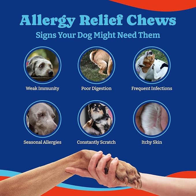 Dog Allergy Relief Chews – 180 Soft Chews, Salmon & Blueberry Flavor - Immune Support & Itch Relief with Colostrum, Astragalus Root, 6-Strain Gut Health Blend
