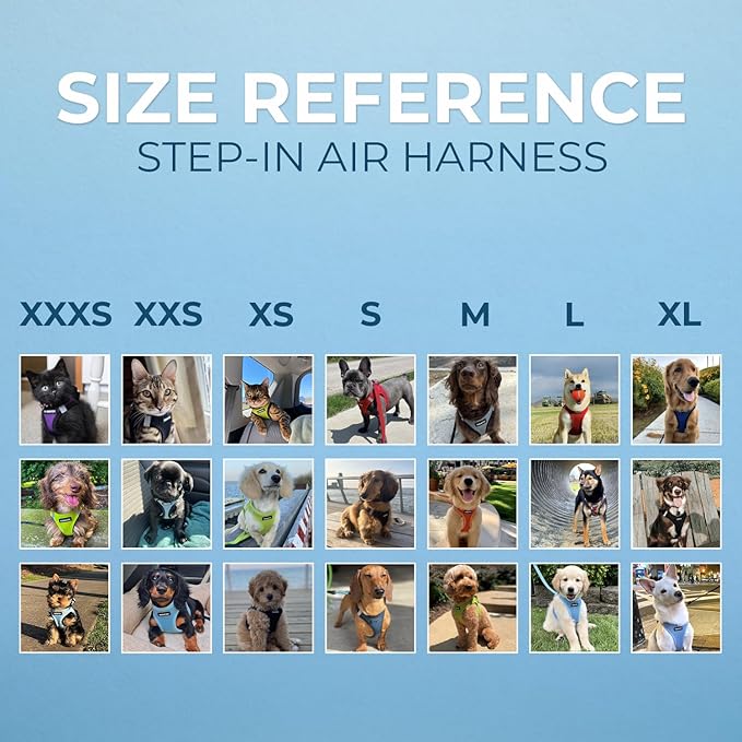 Best Pet Supplies Voyager Step-in Air Harness - All Weather Mesh, Reflective, No Pull Harness for Dogs, Cats - Secure with Hook & Loop Fastener, Buckle, Double D-Rings - Baby Blue, XXS