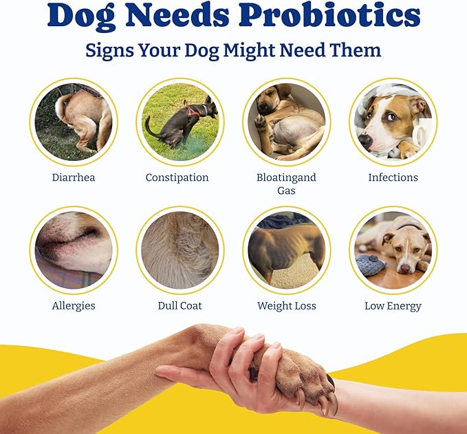 Probiotics for Dogs - Dog Probiotics for Digestive Health, Yeast, Itchy Skin, Gut Health, Immune & Skin - 6 Billion CFUs, Duck & Pear Flavor - with Prebiotics & Digestive Enzymes, 2 Pack