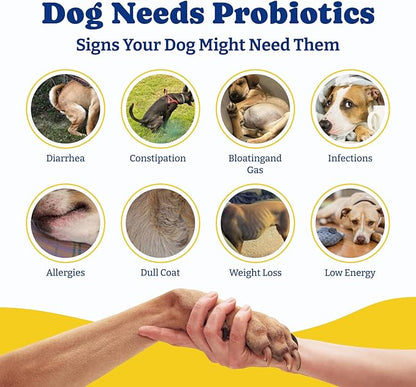 Probiotics for Dogs - Dog Probiotics for Digestive Health, Yeast, Itchy Skin, Gut Health, Immune & Skin - 6 Billion CFUs, Duck & Pear Flavor - with Prebiotics & Digestive Enzymes, 2 Pack