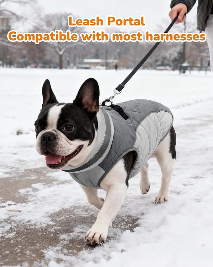 Dog Winter Coat for Medium Dogs, Adjustable Puppy Warm Jackets in Cold Weather, Reflective Pet Fleece Vest with External Attachment Points, Zippered Cold-Weather Dog Winter Clothes, M Black