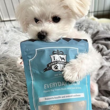 Lord Jameson Everyday Calm Soft & Chewy Organic Dog Treats - Organic Peanut Butter & Soothing Chamomile - No-Bake Recipe - Gluten-Free, Preservative-Free, USDA Certified Organic - Made In USA 6 oz