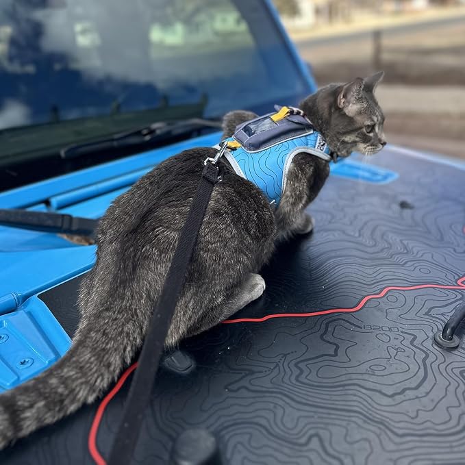 Travel CAT The Pathfinder Cat Harness with GPS Tracker Pocket - Powered by Tractive Cat Harness Escape Proof - Walking Escape Proof Harness for Small, Large Cat, Kitten (Blue, Large)